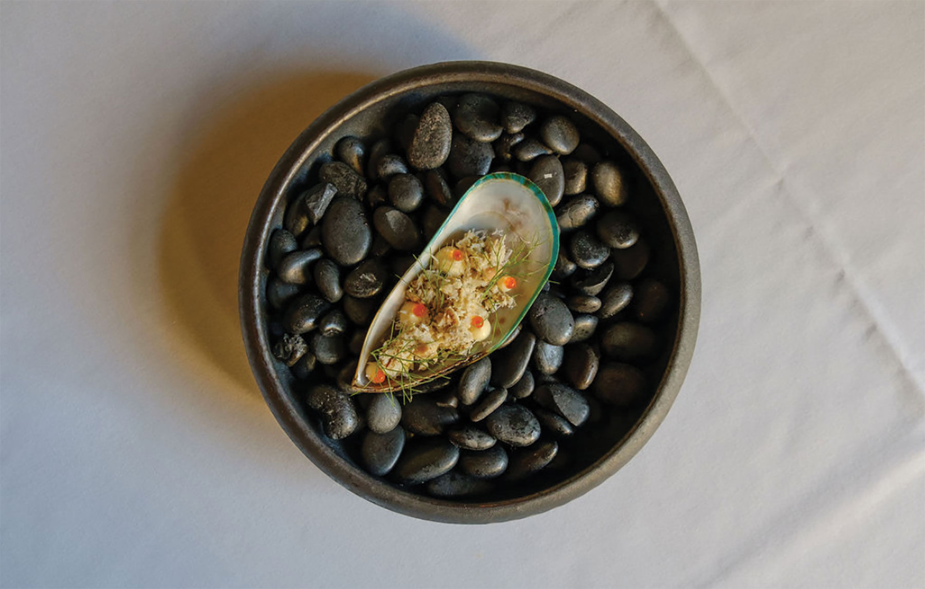 Henley-Mussel.jpg
